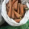 морковь фурами в Омске