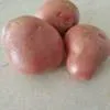 картофель(розара, романо) , 5,5 руб. в Омске 4