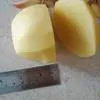 картофель(розара, романо) , 5,5 руб. в Омске 3